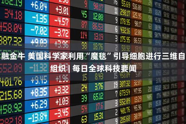 融金牛 美国科学家利用“魔毯”引导细胞进行三维自组织 | 每日全球科技要闻