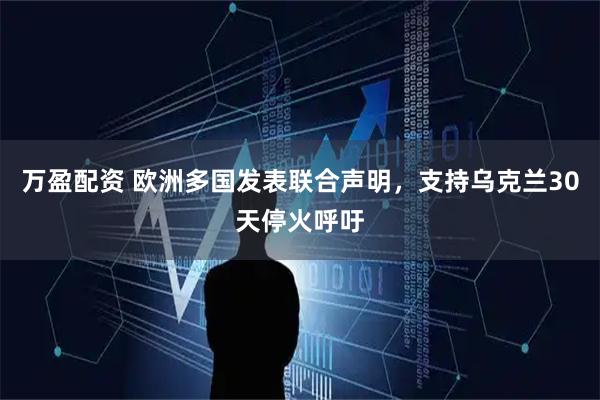 万盈配资 欧洲多国发表联合声明，支持乌克兰30天停火呼吁