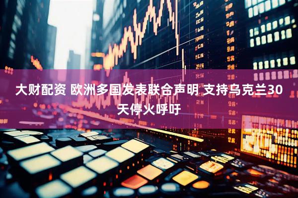 大财配资 欧洲多国发表联合声明 支持乌克兰30天停火呼吁