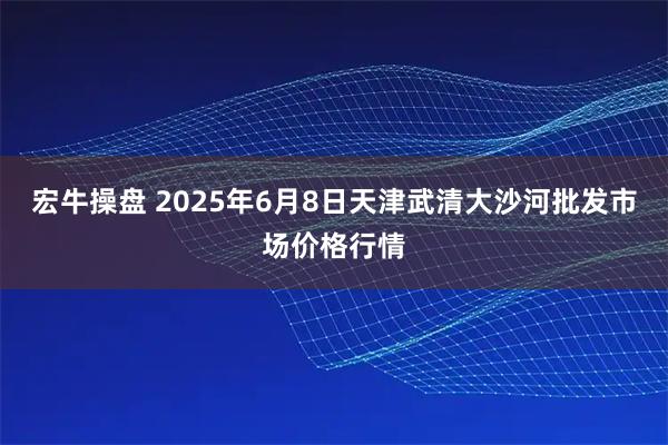宏牛操盘 2025年6月8日天津武清大沙河批发市场价格行情