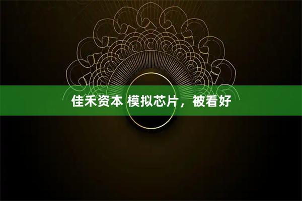 佳禾资本 模拟芯片，被看好