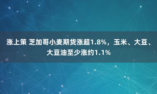 涨上策 芝加哥小麦期货涨超1.8%，玉米、大豆、大豆油至少涨约1.1%