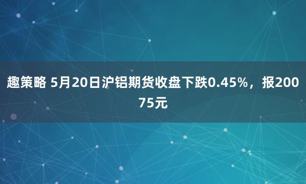 趣策略 5月20日沪铝期货收盘下跌0.45%，报20075元