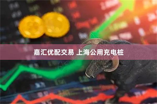 嘉汇优配交易 上海公用充电桩