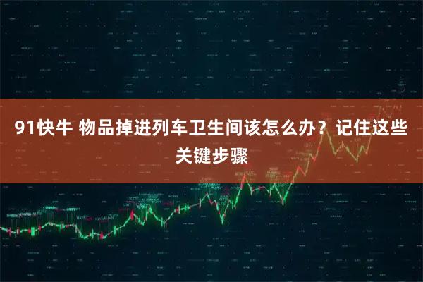 91快牛 物品掉进列车卫生间该怎么办？记住这些关键步骤