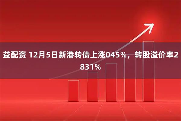 益配资 12月5日新港转债上涨045%,转股溢价率2831%