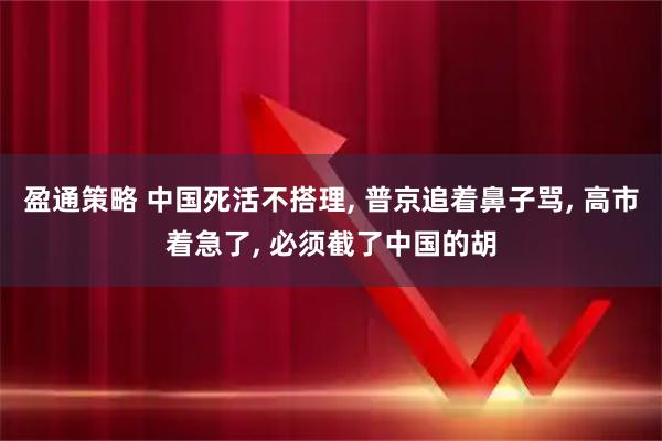 盈通策略 中国死活不搭理, 普京追着鼻子骂, 高市着急了, 必须截了中国的胡